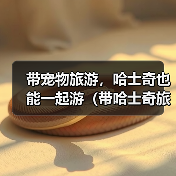 哈士奇旅游必备指南：安全出行与注意事项全攻略