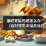 猫咪误食老鼠药后吐白沫怎么办?急救与预防全解析全攻略 猫咪误食老鼠药后吐白沫怎么办?急救与预防全解析全攻略