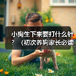 小狗疫苗接种关键时间表及注意事项全攻略 小狗疫苗接种关键时间表及注意事项全攻略