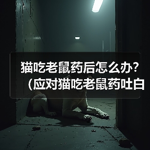 猫咪误食老鼠药后吐白沫怎么办?急救与预防全解析全攻略 猫咪误食老鼠药后吐白沫怎么办?急救与预防全解析全攻略