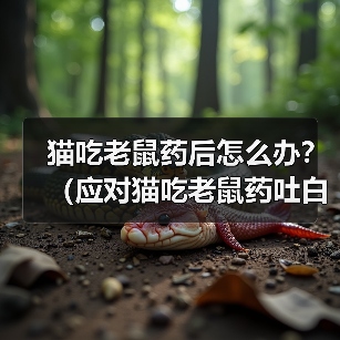 猫咪误食老鼠药后吐白沫怎么办?急救与预防全解析全攻略 猫咪误食老鼠药后吐白沫怎么办?急救与预防全解析全攻略