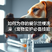 爱尔兰梗洗澡全攻略