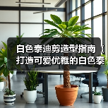 白色泰迪剪造型全攻略 白色泰迪剪造型全攻略
