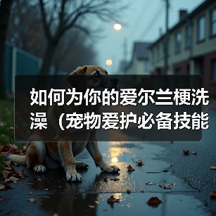 爱尔兰梗洗澡全攻略
