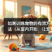 科学如厕训练打造宠物健康生活全攻略