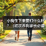 小狗疫苗接种关键时间表及注意事项全攻略 小狗疫苗接种关键时间表及注意事项全攻略