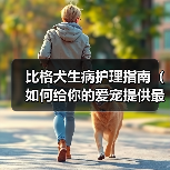 比格犬生病护理指南|科学方法助其快速恢复健康 比格犬生病护理指南|科学方法助其快速恢复健康