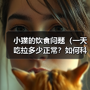 科学喂养小猫指南｜营养均衡与健康要点全解析