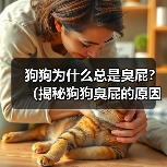 狗狗臭屁原因及解决方法|科学指南全解析 狗狗臭屁原因及解决方法|科学指南全解析