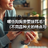 狗狗耳毛清理指南｜品种选择与正确方法解析