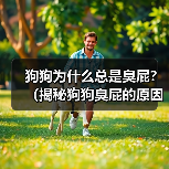狗狗臭屁原因及解决方法|科学指南全解析 狗狗臭屁原因及解决方法|科学指南全解析