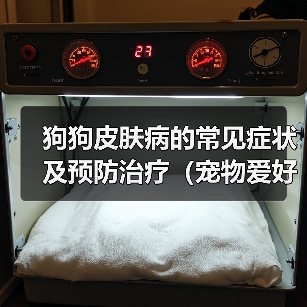 狗狗皮肤病症状与预防治疗指南 狗狗皮肤病症状与预防治疗指南