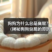 狗狗臭屁原因及解决方法|科学指南全解析 狗狗臭屁原因及解决方法|科学指南全解析