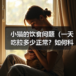 科学喂养小猫指南｜营养均衡与健康要点全解析