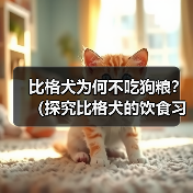 比格犬不吃狗粮原因解析与科学喂养方法