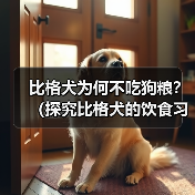 比格犬不吃狗粮原因解析与科学喂养方法