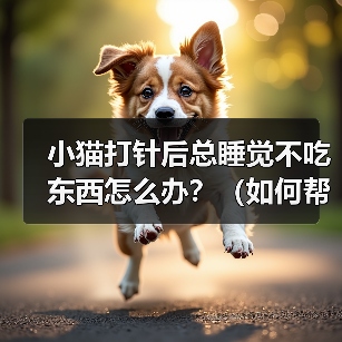 小猫打针后嗜睡厌食怎么办|恢复关怀全攻略 小猫打针后嗜睡厌食怎么办|恢复关怀全攻略