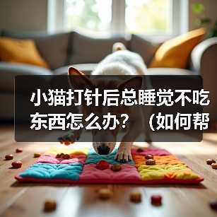小猫打针后嗜睡厌食怎么办|恢复关怀全攻略 小猫打针后嗜睡厌食怎么办|恢复关怀全攻略