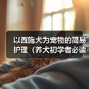 西施犬健康养护全攻略|日常护理与注意事项 西施犬健康养护全攻略|日常护理与注意事项