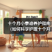 十个月泰迪科学养护要点｜全面指南