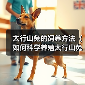 科学饲养太行山兔技巧|健康成长与经济效益全攻略 科学饲养太行山兔技巧|健康成长与经济效益全攻略
