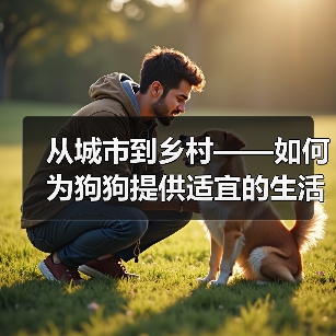 狗狗饲养环境差异与应对策略|实用指南 狗狗饲养环境差异与应对策略|实用指南