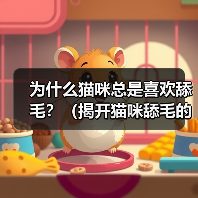 猫咪舔毛的15个科学原因｜行为解析全攻略