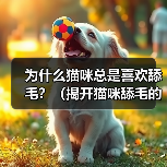 猫咪舔毛的15个科学原因｜行为解析全攻略