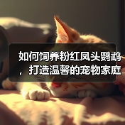 粉红凤头鹦鹉饲养全攻略|科学喂养与日常护理指南 粉红凤头鹦鹉饲养全攻略|科学喂养与日常护理指南