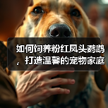 粉红凤头鹦鹉饲养全攻略|科学喂养与日常护理指南 粉红凤头鹦鹉饲养全攻略|科学喂养与日常护理指南