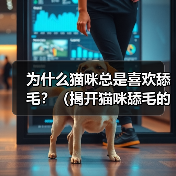 猫咪舔毛的15个科学原因｜行为解析全攻略