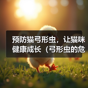 猫弓形虫预防方法｜家庭健康保护实用指南