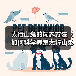 科学饲养太行山兔技巧|健康成长与经济效益全攻略 科学饲养太行山兔技巧|健康成长与经济效益全攻略