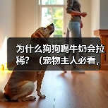 狗狗喝牛奶为何易拉稀?科学解析背后原因 狗狗喝牛奶为何易拉稀?科学解析背后原因