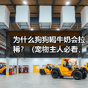 狗狗喝牛奶为何易拉稀?科学解析背后原因 狗狗喝牛奶为何易拉稀?科学解析背后原因