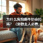 狗狗喝牛奶为何易拉稀?科学解析背后原因 狗狗喝牛奶为何易拉稀?科学解析背后原因
