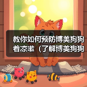 博美犬着凉咳嗽预防护理全解析 博美犬着凉咳嗽预防护理全解析