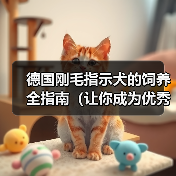 德国刚毛指示犬养护要点：健康成长快乐生活