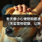冬季狗狗防寒指南：科学护理确保健康过冬