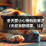 冬季狗狗防寒指南：科学护理确保健康过冬