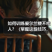爱尔兰梗不咬人实用训练指南