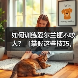 爱尔兰梗不咬人实用训练指南