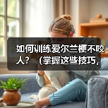 爱尔兰梗不咬人实用训练指南
