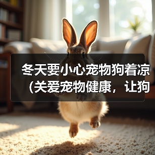 冬季狗狗防寒指南：科学护理确保健康过冬