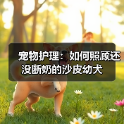 沙皮幼犬未断奶护理全攻略：健康成长必备指南