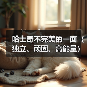 哈士奇宠物的缺点有哪些?高需求与挑战解析 哈士奇宠物的缺点有哪些?高需求与挑战解析