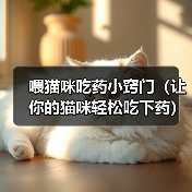 猫咪吃药难?15招让猫咪轻松接受药物 猫咪吃药难?15招让猫咪轻松接受药物