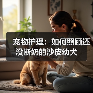 沙皮幼犬未断奶护理全攻略：健康成长必备指南