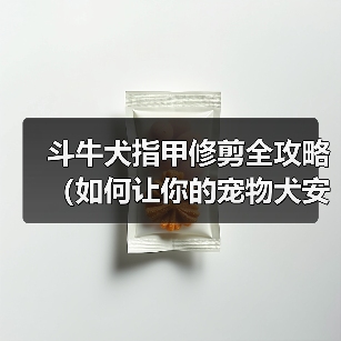斗牛犬指甲修剪安全技巧与注意事项