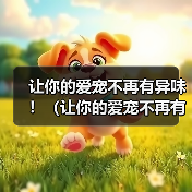 博美犬耳朵异味解决全攻略
